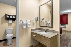 a bathroom with a sink and a toilet and a mirror at Econo Lodge Inn & Suites Santa Rosa in Santa Rosa +32 photos