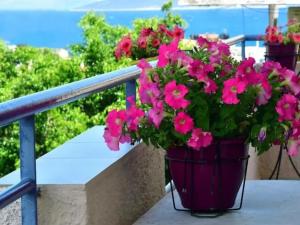 Galería fotográfica de Konstantinos Apartments en Tolo 8 fotos más