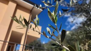 Fotografie z fotogalerie ubytování Villa Josefine Lake Front - Adults Only v destinaci Brenzone sul Garda