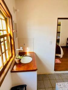 a bathroom with a sink with a plant on a counter at Quarto Familia prox ao centro Paraty in Paraty