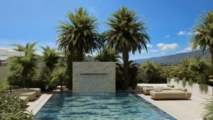 アリカナスにあるVilla La Carettaのヤシの木が茂るスイミングプール(ラウンジチェア付) +6枚の写真