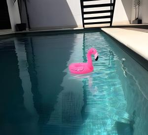 Piscina di 2ndhome o nelle vicinanze