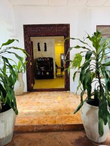 a hallway with two potted plants and a mirror at Compass Hostel in Nungwi