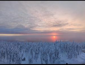 a snow covered forest with the sun setting in the background at Levi Chalets 1607 Ski-in Ski-out with mountain view and with 2 skipasses in Kittilä