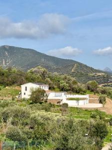 Φυσικό τοπίο κοντά σε αυτό το διαμέρισμα