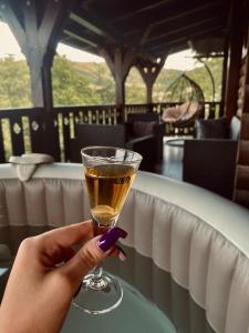 a person holding a wine glass on a table at Dedovina Pakovraće in Čačak