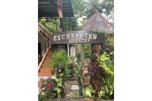 Zahrada ubytování OYO 876 Escurel Inn Boracay