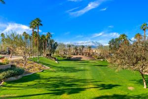 an image of a park with palm trees and grass at Spanish Walk Villa - PD condo near acrisure in Palm Desert