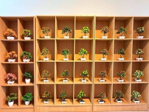 Fotografie z fotogalerie ubytování Hotel O S Homestay Premium v destinaci Kuantan