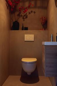 een badkamer met toilet en wastafel bij Troch & Foarút in Bakkeveen