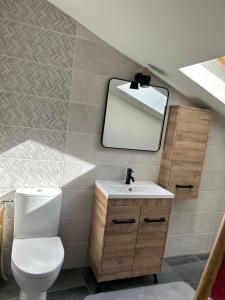 a bathroom with a toilet and a mirror at Villa d'Aneta in Le Poët