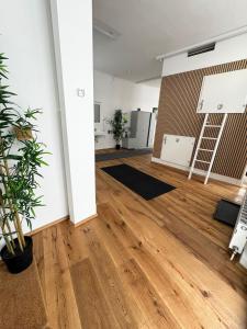 Kuchyň nebo kuchyňský kout v ubytování Robin Wood Apartment