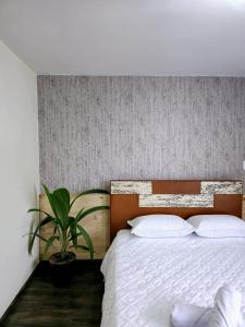 a bedroom with a white bed and a plant at 31 Apartamentos PRIVADOS Armenia y Tebaida - Cerca Aeropuerto - Parque Del Café - Salento Con Piscinas - By Molca Travel in Armenia