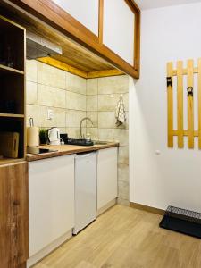 Kuchyň nebo kuchyňský kout v ubytování Studio Apartment Gradić + 6 fotografií
