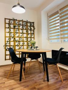 Fotografie z fotogalerie ubytování Studio Apartment Gradić v destinaci Petrovaradin