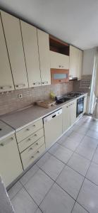 Η κουζίνα ή μικρή κουζίνα στο Apartman Alfa