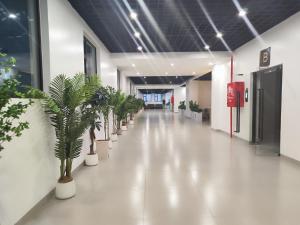 an empty hallway with potted plants in a building at Zen Haven Lavington in Nairobi