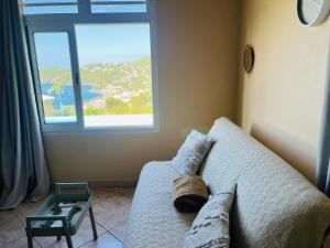a couch in a living room with a window at Studio Amour in Bouillante
