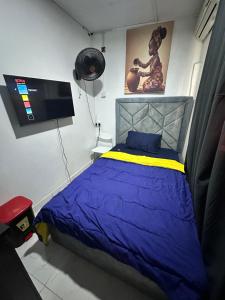 Private Fully Serviced Studio Apartment At Ilasan lekki ikate, AC, Toilet is Shared, Netflix,WiFi,prime,private kitchen客房内的一张或多张床位