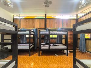 Un ou plusieurs lits superposés dans un hébergement de l'établissement Hostel Casa de las Palmas Tours