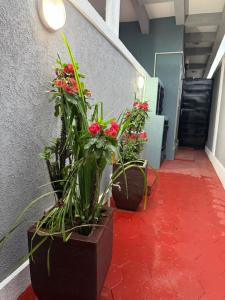 Imagine din galeria proprietății Romelle Holiday Homes în Brazzaville