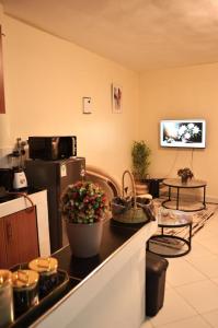une cuisine avec un comptoir avec des fleurs dessus dans l'établissement Modern & Serene 1 BR Getaway, à Eldoret