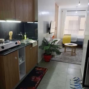 Kuchyň nebo kuchyňský kout v ubytování Hidden heaven studio fedha