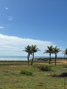 Φυσικό τοπίο κοντά σε αυτό το διαμέρισμα +27 φωτογραφίες