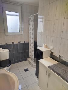 a bathroom with a sink and a toilet and a window at VILA RUŽA - Grand apartman 2 in Soko Banja +14 photos