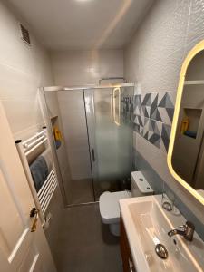 a bathroom with a shower and a toilet and a sink at Balcón Néstor Álamo II in Tejeda