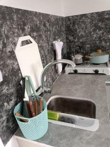 a kitchen sink with a basket of utensils in it at REFUGIO DE MAR SAO monoambiente in San Antonio Oeste