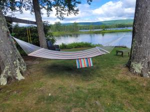 Lake ArielにあるLakefront Family Home, Kayaks, Hot Tub, Fireplaceの湖畔の二本の木掛け