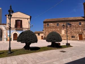 two bushes in a courtyard in front of a building at SottoAlCampanile in Campomarino