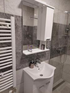 Ένα μπάνιο στο Apartman Stublina II +17 φωτογραφίες