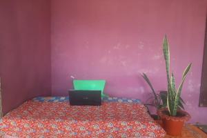 a bedroom with a bed with a laptop on it at OYO 90555 Vina Pavilion in Bengkulu +3 photos