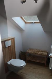a bathroom with a toilet and a skylight at Le Néblon insolite in Ouffet +30 photos