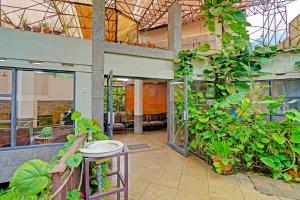 Zahrada ubytování Super OYO Capital O 91810 Hotel Balebat 2