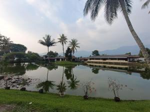 Gallery image of Capital O 94094 New Lembah nyiur in Bogor