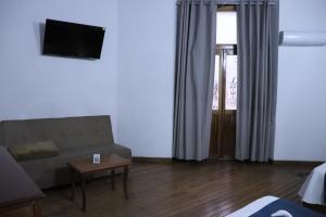 TV a/nebo společenská místnost v ubytování Hotel Frances
