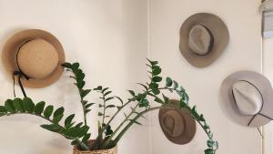 Gallery image of Cozy Cronulla Apartment With Shelly Beach Views! in Cronulla