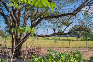 Aed väljaspool majutusasutust Tranquil Trails Sigiriya