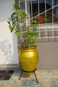 Photo de la galerie de l'établissement The Cool Villa Guest House, à Sékondi