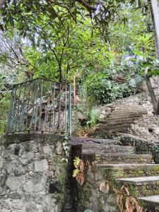 Fotografie z fotogalerie ubytování Palmira v destinaci Cuernavaca + 1 fotografie