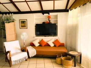 โทรทัศน์และ/หรือระบบความบันเทิงของ TAHITI - VAIAVA Beach Cottage