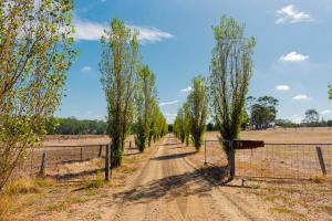Quarry HillにあるThe Family Farmhouseの木と柵の未舗装道路