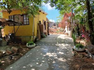 a road leading to a yellow house with potted plants at Recanto alegria in São Roque