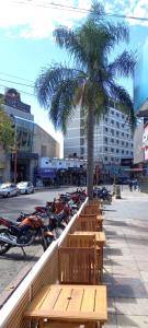 a row of wooden benches and palm trees and motorcycles at Departamento Monoambiente Centro Villa Carlos Paz in Villa Carlos Paz