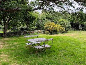 a table and chairs sitting in the grass in a field at Maison charmante au calme avec jardin à Kerlard - FR-1-813-24 in Groix