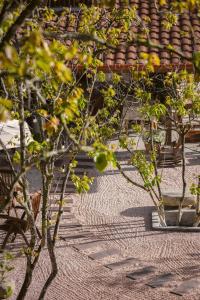 Zahrada ubytování KỲ VIÊN Home & Cafe
