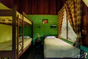 2 literas en una habitación con paredes verdes en Oro y Luna Lodge, en Carlos Julio Arosemena Tola